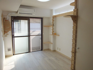 Illustration for article titled Japan's Cat Apartments Come with... Cats
